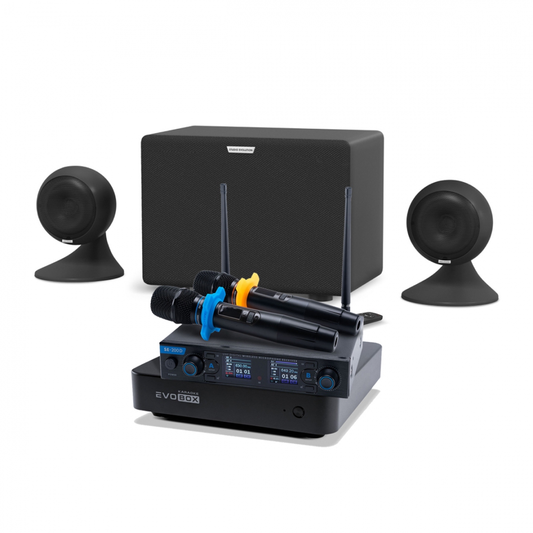 караоке-комплект EVOBOX + EvoSound Sphere 2.1 в Красном Яре