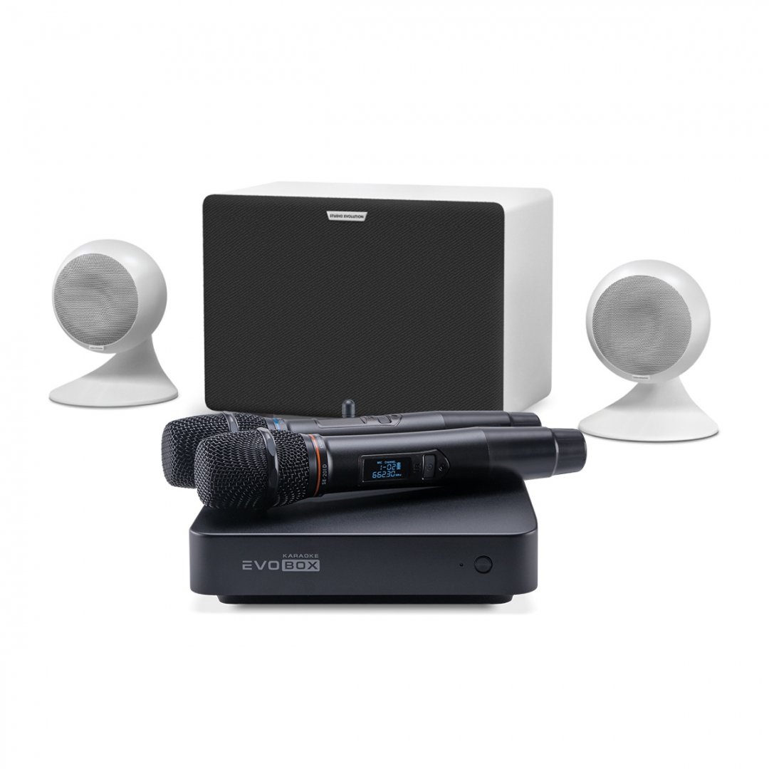 караоке-комплект EVOBOX Classic + EvoSound Sphere 2.1 в Красном Яре