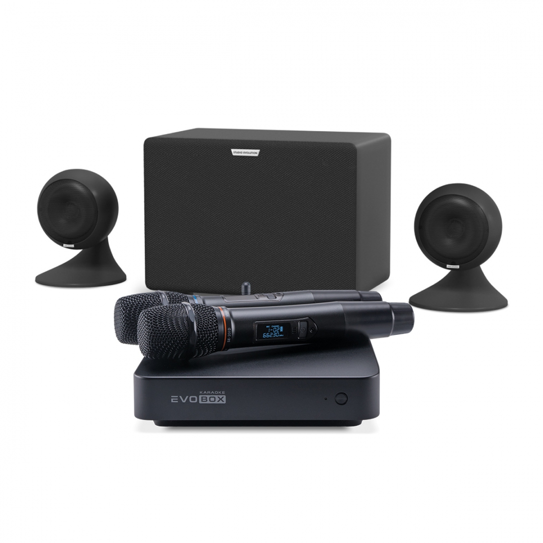 караоке-комплект EVOBOX Plus + EvoSound Sphere 2.1 в Красном Яре