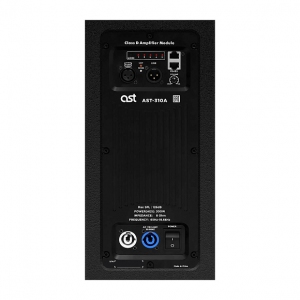 Активная акустическая система AST-310A в Красном Яре