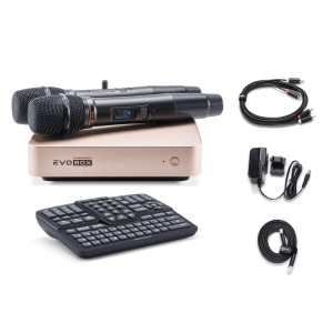 EVOBOX Classic караоке-система для дома в Красном Яре